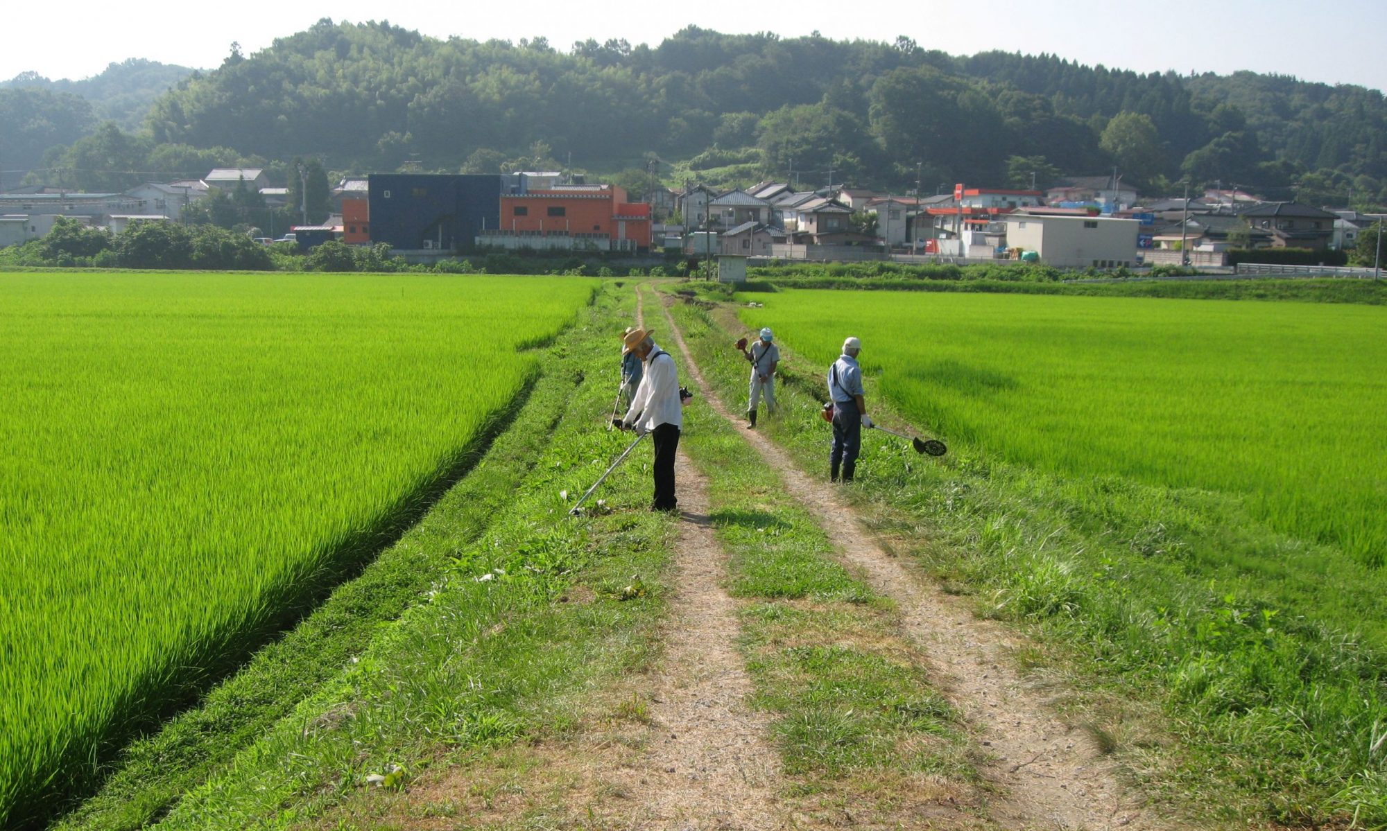 大久保地区保全協議会
